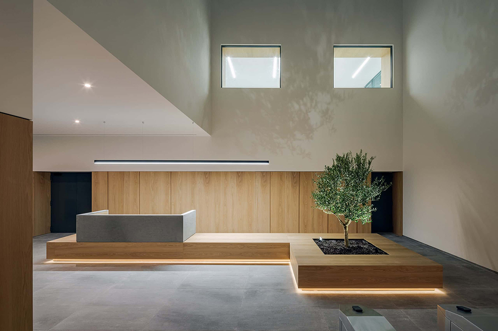 12. olympia group