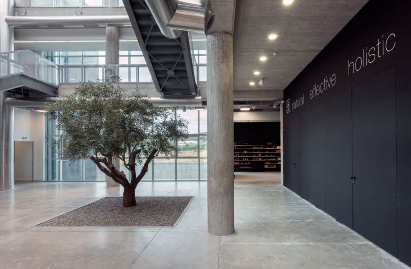 Office building with sustainable design